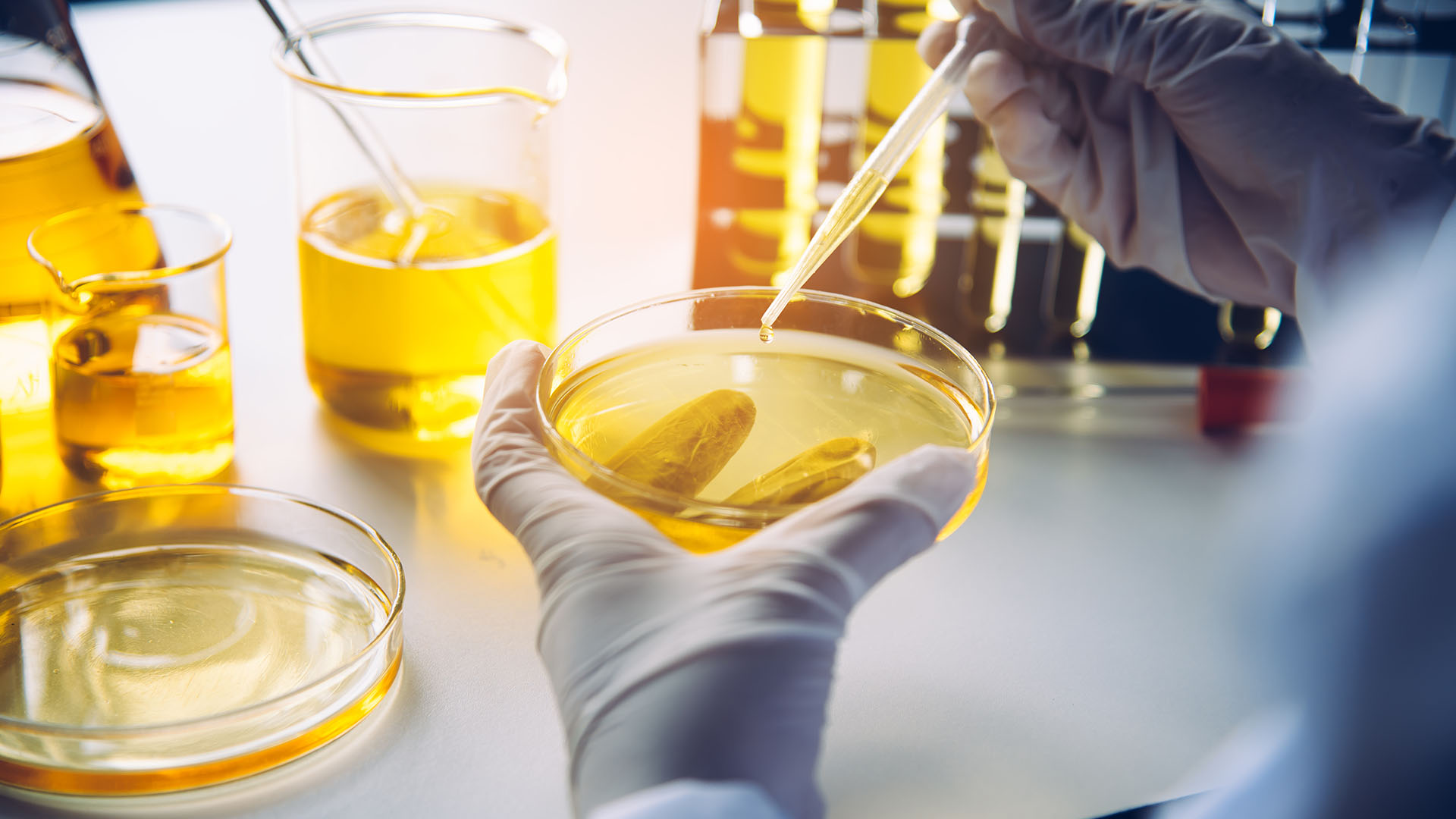 3-Soluzioni guidate dalla tecnologia: competenza globale di nicchia