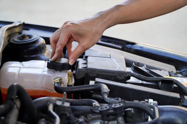 Maximizing Benefits with TERZO Lubricants
