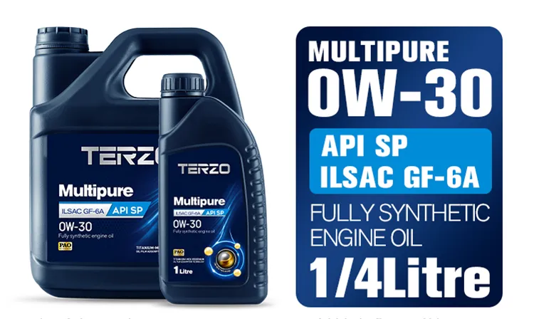 Como escolher o óleo de motor para veículos alemães 2 TERZO Multipure 0W-30